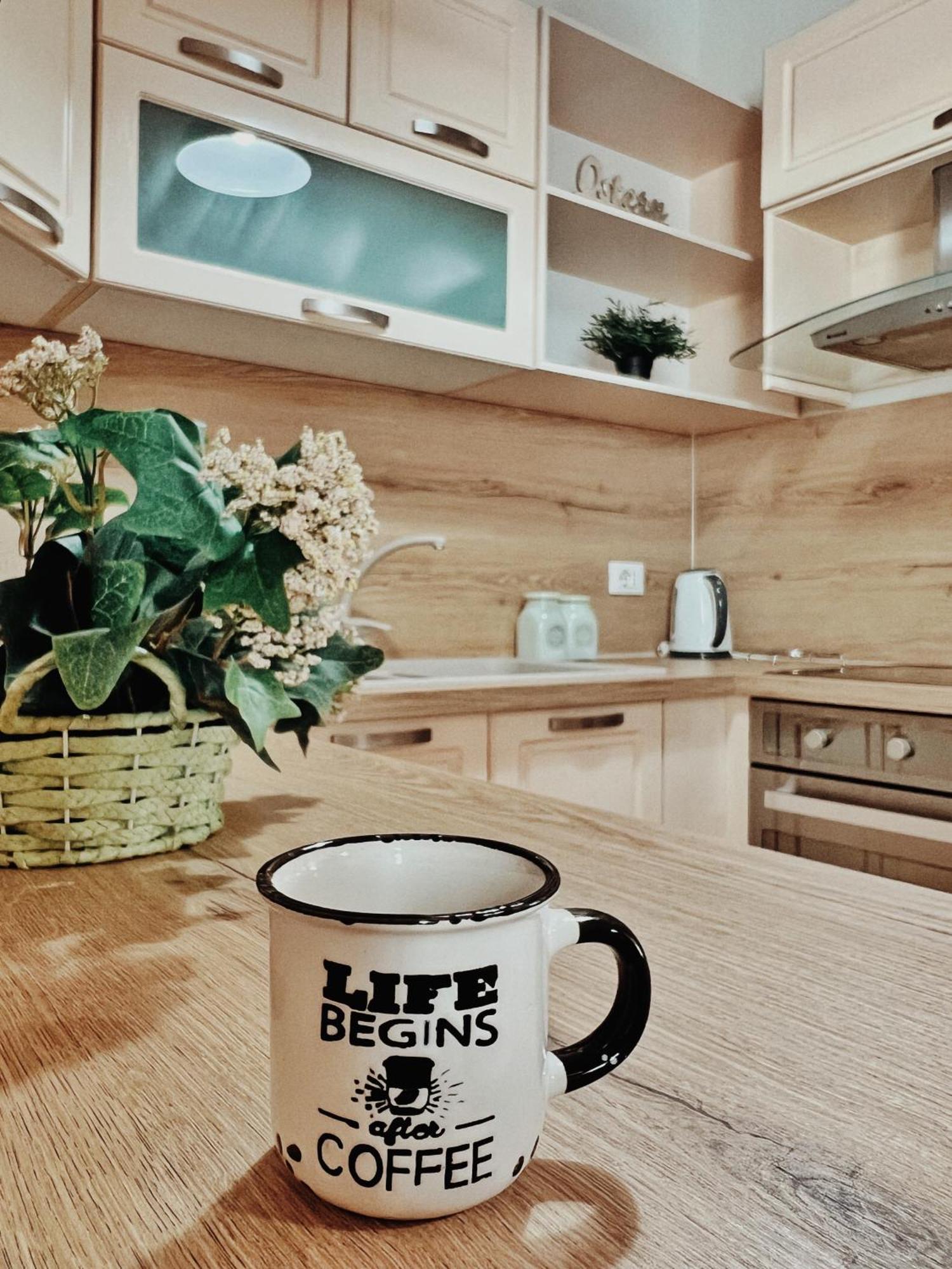 Cozy Rooftop Apartment - Your Home, Away From Home! 地拉那 外观 照片